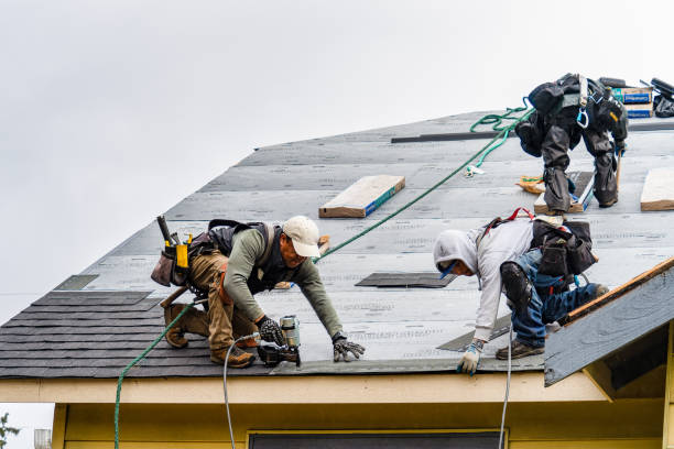 Professional Gutter Installation technician working in Dickinson, ND